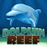 Dolphin Reef Slot